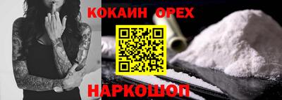 кокс Кингисепп
