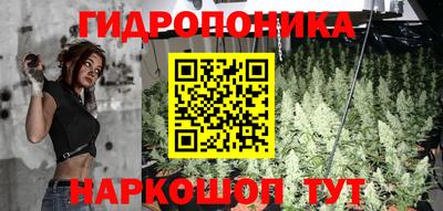 кокс Кингисепп